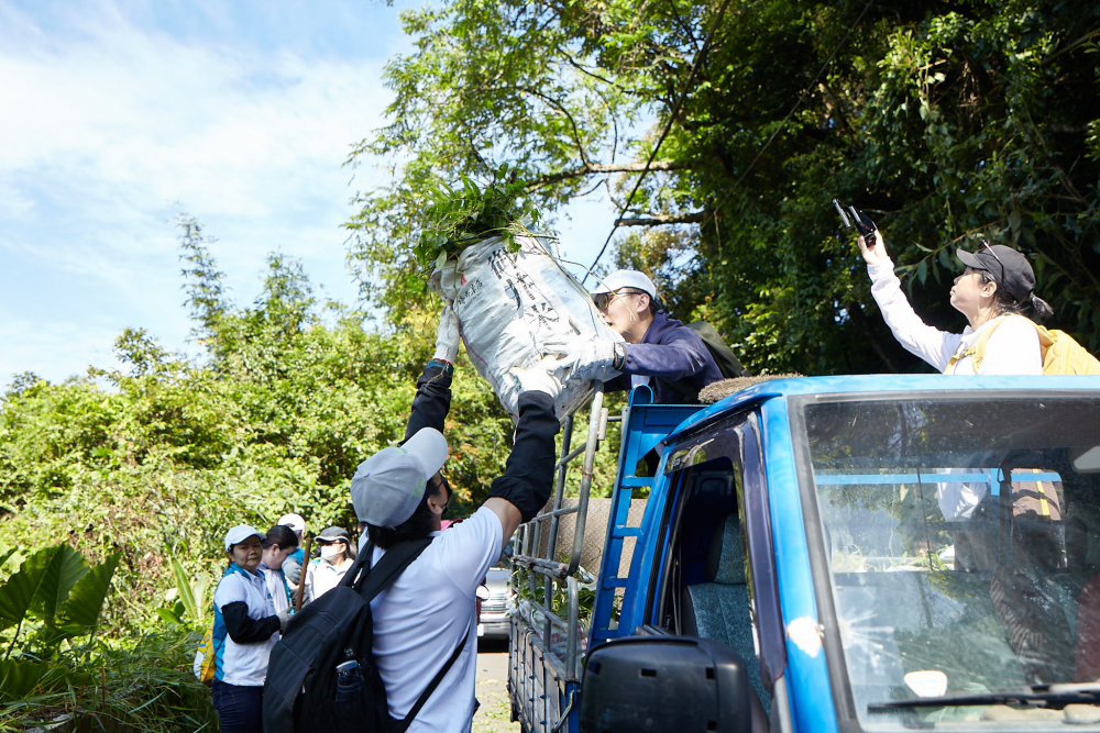 友達串聯志工組成水環境巡守隊，針對霄裡溪沿岸3公里的小花蔓澤蘭，定期進行移除與防治工作